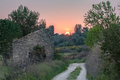 MG_3109